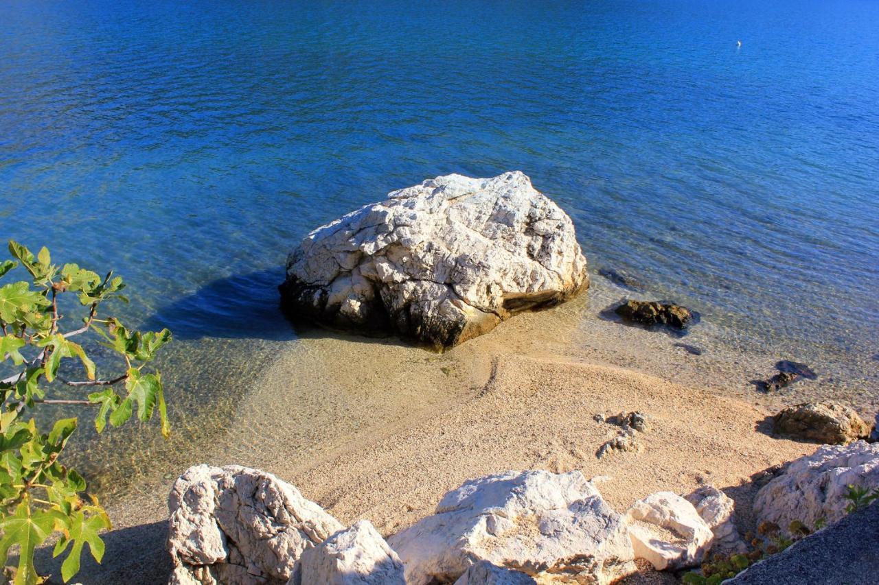 Apartments And Rooms By The Sea Slano, Dubrovnik - 8737 Dış mekan fotoğraf